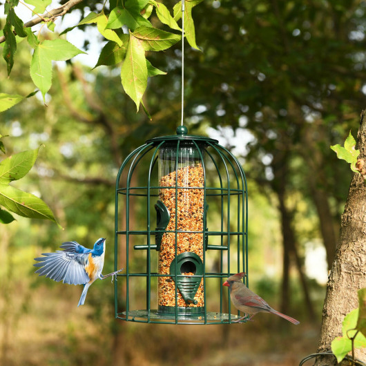 Squirrel-proof Caged Tube Wild Bird Feeder Outdoor Metal Seed Guard Deterrent - Image 4