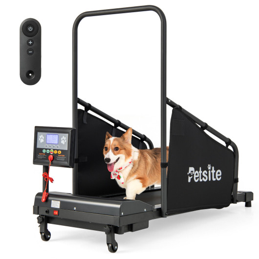 Indoor Pet Exercise Equipment with Remote Control - Image 3