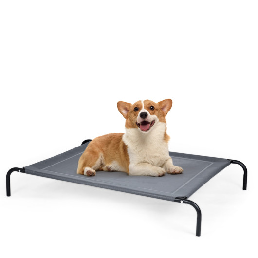 Large Indoor Outdoor Camping Steel Frame Elevated Pet Cot Mat - Image 4