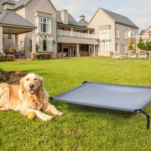 Large Indoor Outdoor Camping Steel Frame Elevated Pet Cot Mat - Image 5