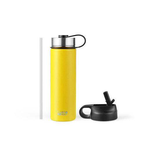 22 Oz Double-walled Insulated Stainless Steel Water Bottle with 2 Lids and Straw-Yellowtest - Image 2